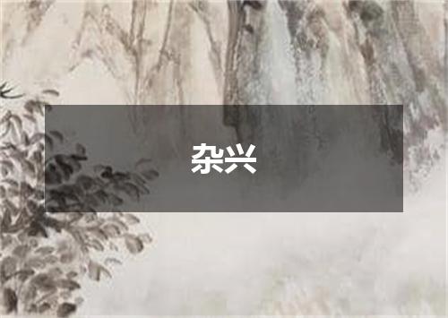 杂兴