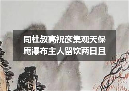 同杜叔高祝彦集观天保庵瀑布主人留饮两日且