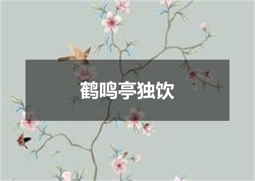 鹤鸣亭独饮