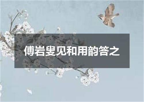 傅岩叟见和用韵答之