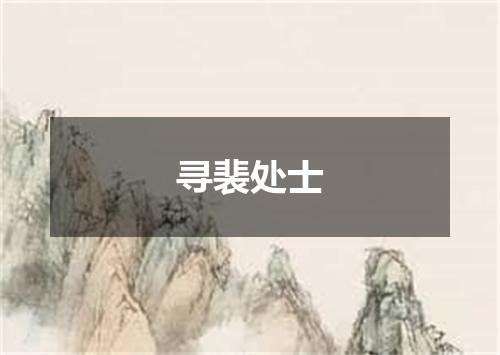寻裴处士