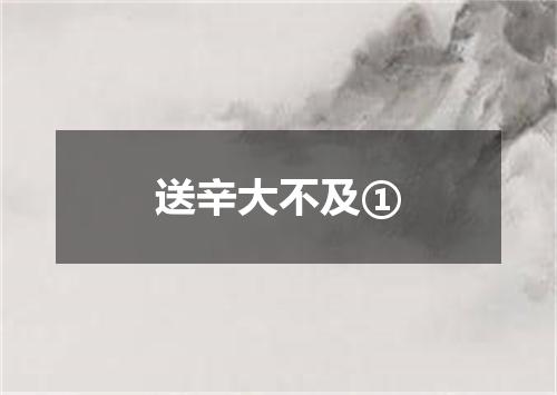 送辛大不及①