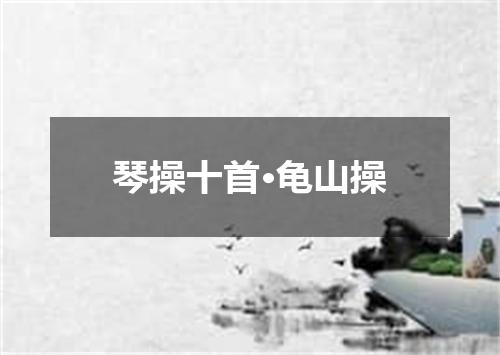 琴操十首·龟山操