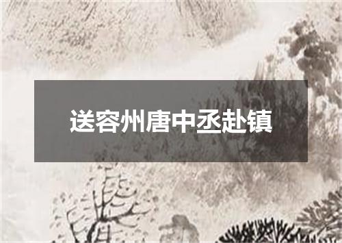 送容州唐中丞赴镇