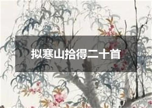 拟寒山拾得二十首