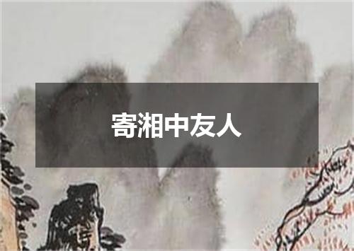 寄湘中友人