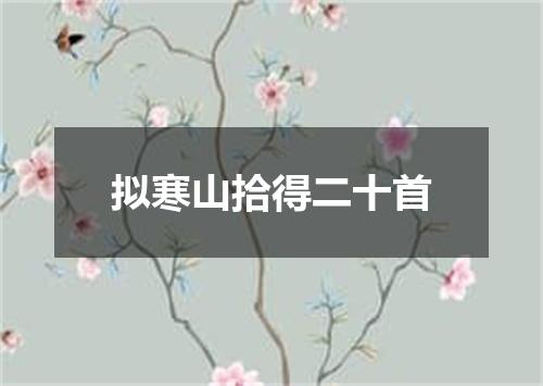 拟寒山拾得二十首
