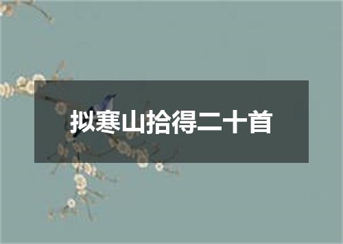 拟寒山拾得二十首