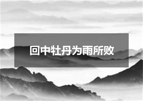 回中牡丹为雨所败