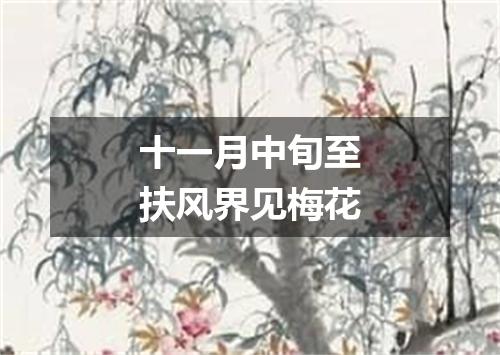 十一月中旬至扶风界见梅花