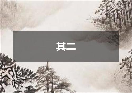 其二