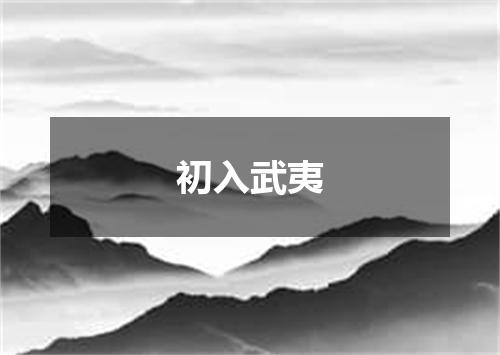 初入武夷