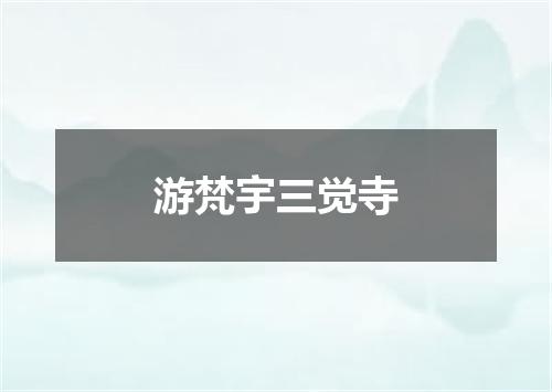 游梵宇三觉寺