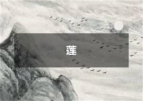 莲