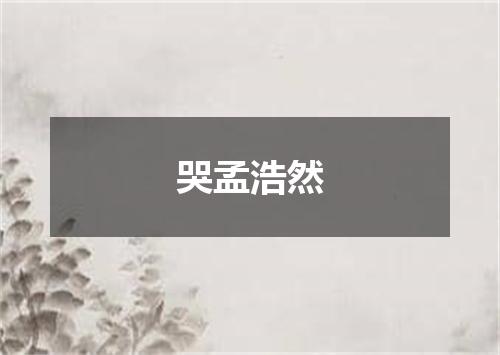 哭孟浩然