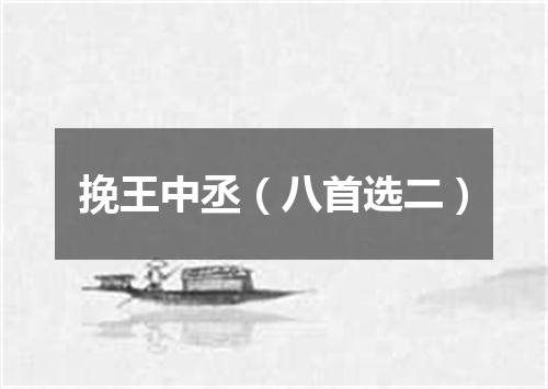 挽王中丞（八首选二）