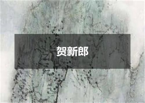 贺新郎