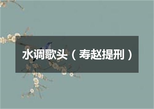 水调歌头（寿赵提刑）
