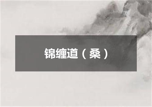 锦缠道（桑）