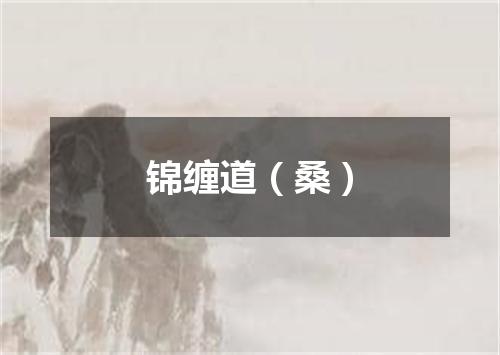 锦缠道（桑）