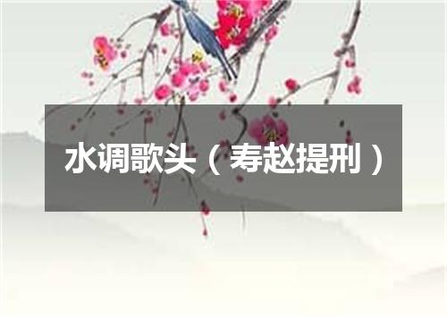 水调歌头（寿赵提刑）
