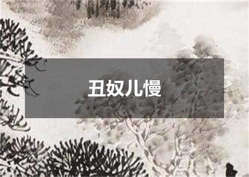 丑奴儿慢