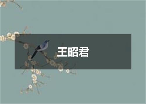 王昭君