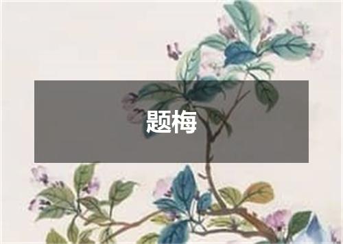 题梅
