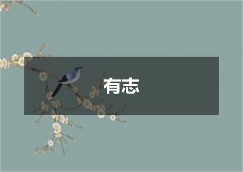 有志
