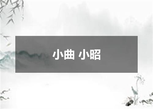 小曲 小昭