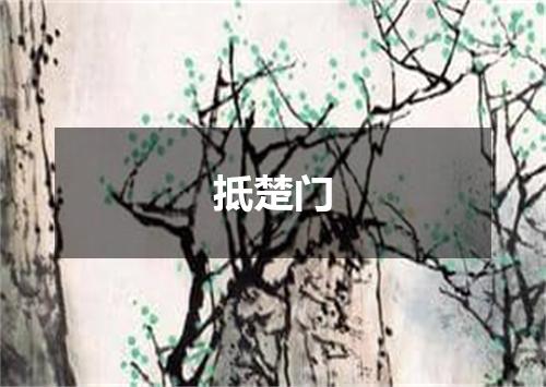 抵楚门