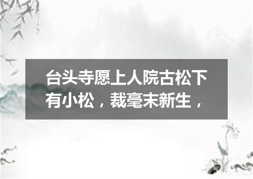 台头寺愿上人院古松下有小松，裁毫末新生，