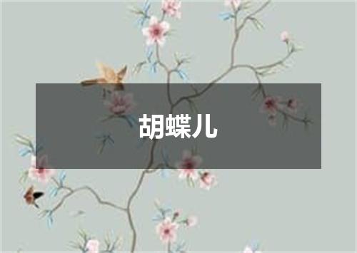 胡蝶儿