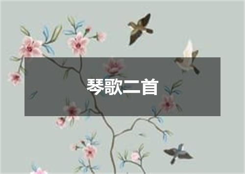 琴歌二首