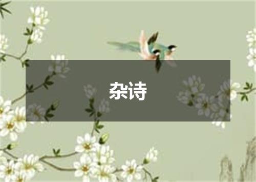 杂诗