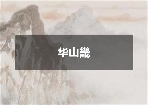 华山畿