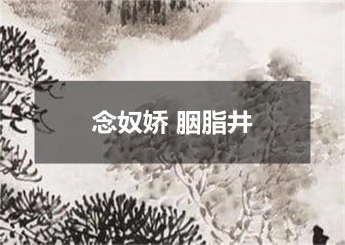 念奴娇 胭脂井