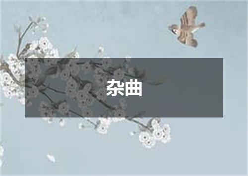 杂曲
