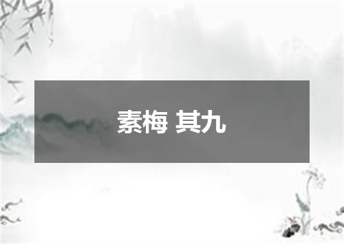 素梅 其九