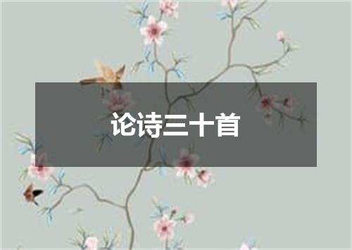 论诗三十首