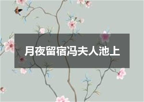 月夜留宿冯夫人池上