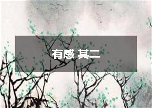 有感 其二