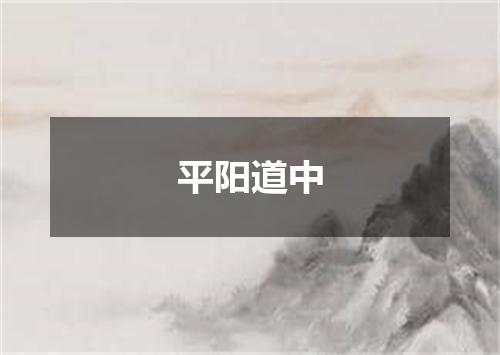 平阳道中