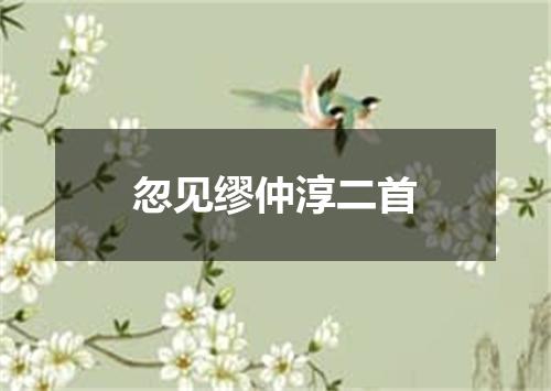 忽见缪仲淳二首