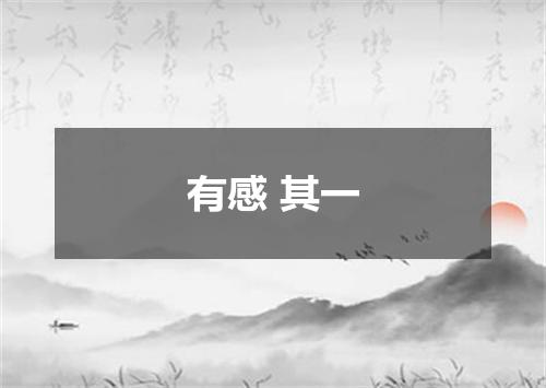 有感 其一