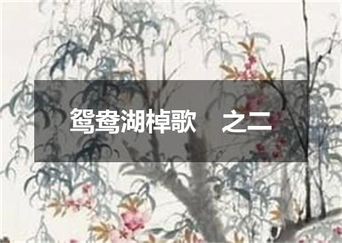 鸳鸯湖棹歌　之二