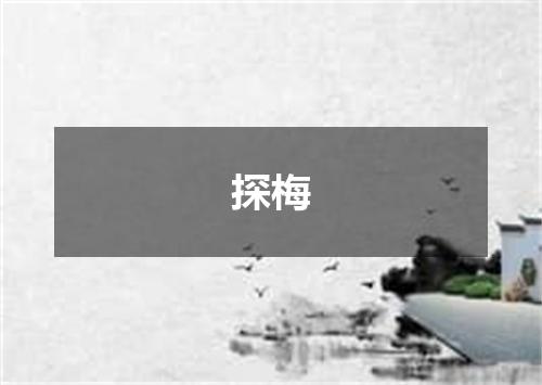 探梅