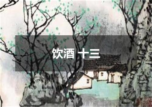 饮酒 十三