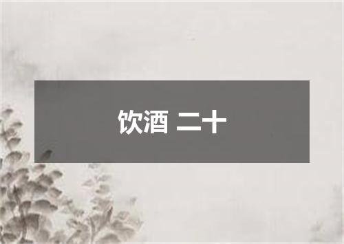 饮酒 二十