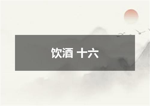 饮酒 十六